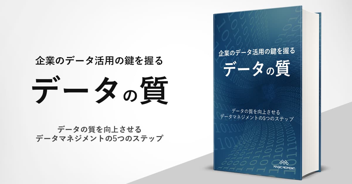 企業のデータ活用の鍵を握るデータの「質」 〜データの質を向上させるデータマネジメントの5つのステップ〜 thumbnail